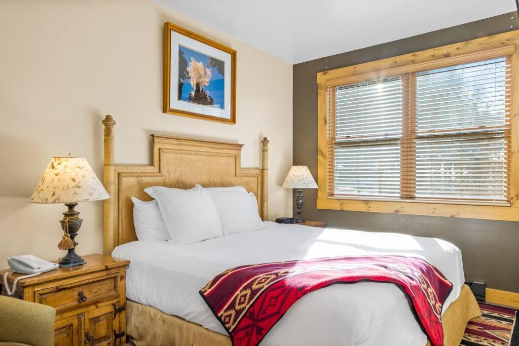 Aparthotel Blue Collar Boutique: Affordable Adventure Telluride Zewnętrze zdjęcie
